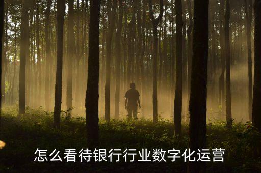 怎么看待銀行行業(yè)數(shù)字化運(yùn)營(yíng)