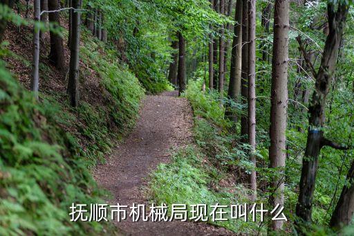 撫順機器人產業(yè)園,撫順維修機器人
