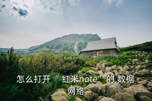 怎么打開(kāi)“ 紅米note”的 數(shù)據(jù)網(wǎng)絡(luò)