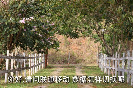 手機(jī)怎么改數(shù)據(jù)網(wǎng)絡(luò),vivo手機(jī)怎么改數(shù)據(jù)網(wǎng)絡(luò)設(shè)置