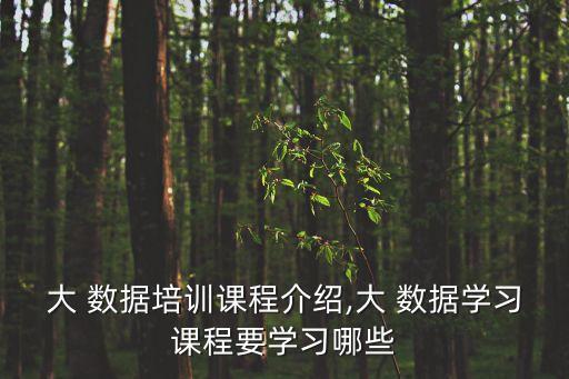 大數(shù)據(jù)教育平臺(tái)公司有哪些內(nèi)容