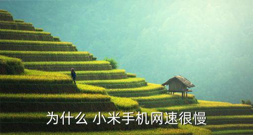 為什么 小米手機(jī)網(wǎng)速很慢