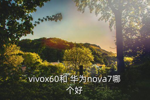 vivox60和 華為nova7哪個(gè)好