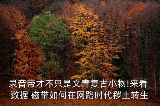 錄音帶才不只是文青復古小物!來看 數據 磁帶如何在網路時代穢土轉生