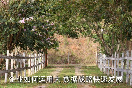 利用數(shù)據(jù),凡是能夠直接或間接利用數(shù)據(jù)