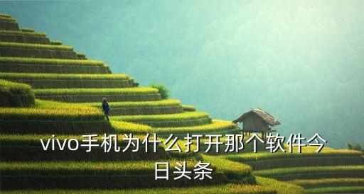  vivo手機為什么打開那個軟件今日頭條