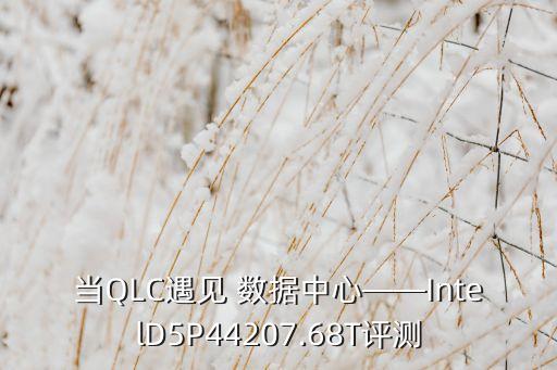當(dāng)QLC遇見 數(shù)據(jù)中心——IntelD5P44207.68T評(píng)測(cè)