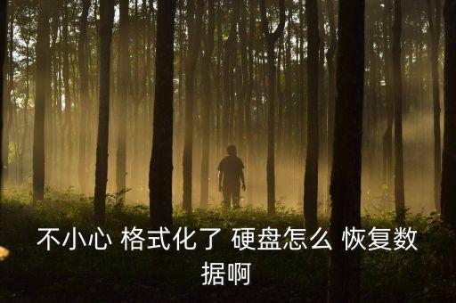 mypassport 移動硬盤5次輸入錯誤后格式化數(shù)據(jù)能恢復嗎