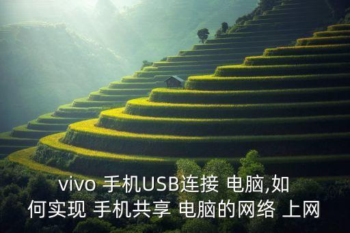 vivo 手機(jī)USB連接 電腦,如何實(shí)現(xiàn) 手機(jī)共享 電腦的網(wǎng)絡(luò) 上網(wǎng)