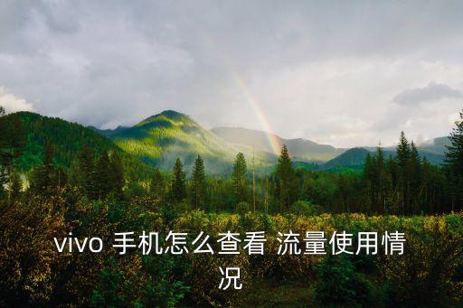 vivo 手機(jī)怎么查看 流量使用情況