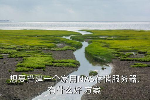 想要搭建一個(gè)家用NAS存儲(chǔ)服務(wù)器,有什么好 方案