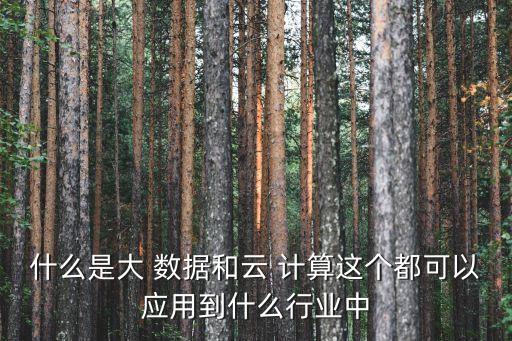 什么是大 數(shù)據(jù)和云 計算這個都可以應(yīng)用到什么行業(yè)中