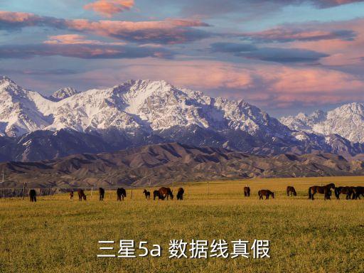  三星5a 數(shù)據(jù)線真假