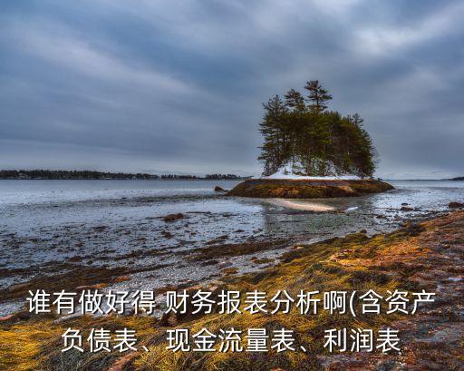 誰(shuí)有做好得 財(cái)務(wù)報(bào)表分析啊(含資產(chǎn)負(fù)債表、現(xiàn)金流量表、利潤(rùn)表