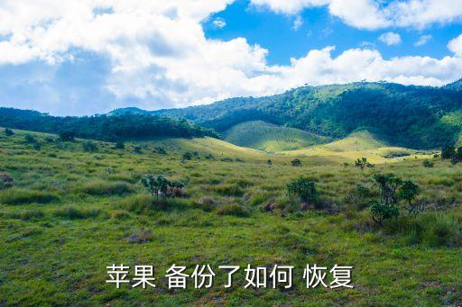 iphone備份恢復(fù)數(shù)據(jù)恢復(fù),iPhone如何把備份的數(shù)據(jù)恢復(fù)到新的手機(jī)