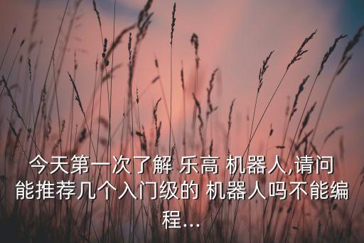 今天第一次了解 樂高 機器人,請問能推薦幾個入門級的 機器人嗎不能編程...