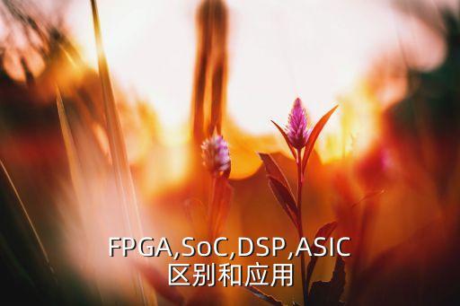 FPGA,SoC,DSP,ASIC區(qū)別和應(yīng)用