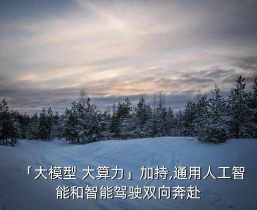 「大模型 大算力」加持,通用人工智能和智能駕駛雙向奔赴
