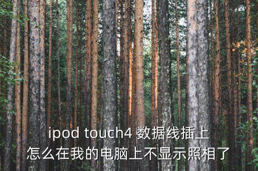 ipod touch4 數(shù)據(jù)線插上怎么在我的電腦上不顯示照相了