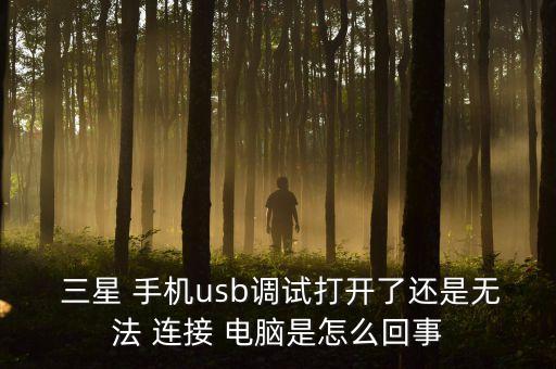  三星 手機(jī)usb調(diào)試打開了還是無法 連接 電腦是怎么回事