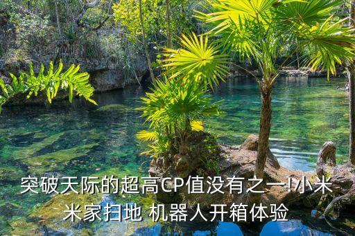 突破天際的超高CP值沒有之一!小米米家掃地 機(jī)器人開箱體驗(yàn)