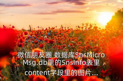 數(shù)據(jù)圈網站,數(shù)據(jù)流量有個圈