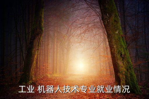 機(jī)器人 工作,工業(yè)機(jī)器人工作