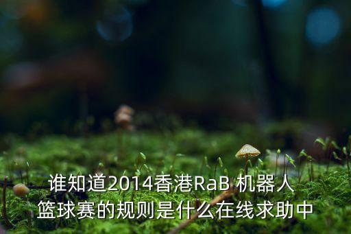 誰知道2014香港RaB 機器人 籃球賽的規(guī)則是什么在線求助中