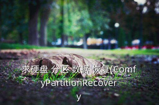 求硬盤 分區(qū) 數(shù)據(jù) 恢復(fù)(ComfyPartitionRecovery