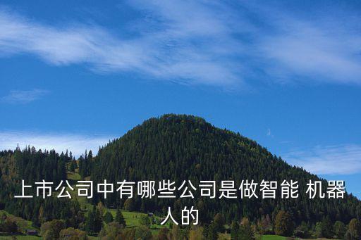 上市公司中有哪些公司是做智能 機器人的