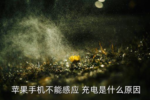 蘋(píng)果不識(shí)別充電數(shù)據(jù)線(xiàn),蘋(píng)果數(shù)據(jù)線(xiàn)充電老是斷斷續(xù)續(xù)