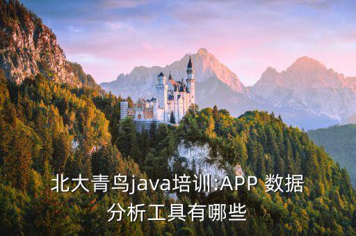 北大青鳥(niǎo)java培訓(xùn):APP 數(shù)據(jù)分析工具有哪些