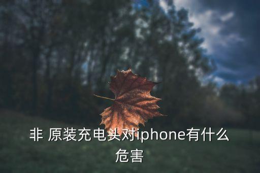 非 原裝充電頭對(duì)iphone有什么危害
