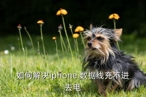 如何解決iphone 數(shù)據(jù)線充不進(jìn)去電