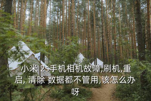  小米 2s手機(jī)相機(jī)故障,刷機(jī),重啟, 清除 數(shù)據(jù)都不管用,該怎么辦呀