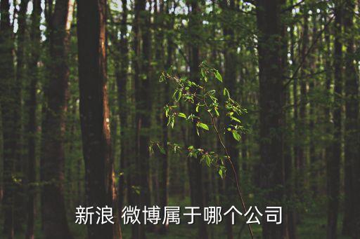 新浪 微博屬于哪個公司