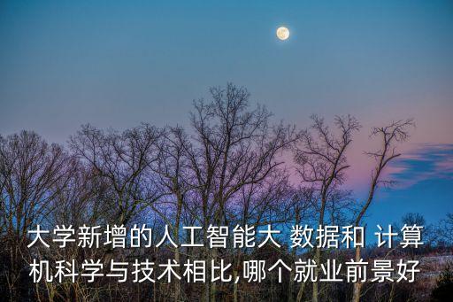 大學(xué)新增的人工智能大 數(shù)據(jù)和 計算機(jī)科學(xué)與技術(shù)相比,哪個就業(yè)前景好