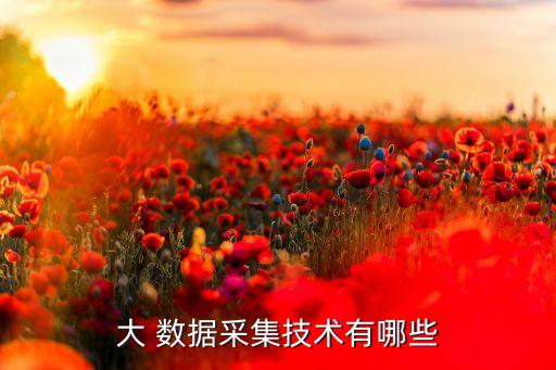 大 數(shù)據(jù)采集技術(shù)有哪些
