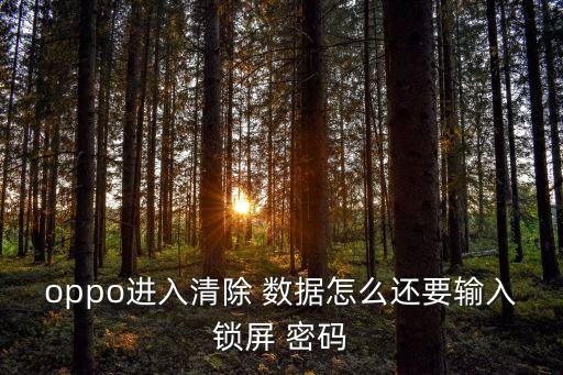 oppo進入清除 數(shù)據(jù)怎么還要輸入鎖屏 密碼