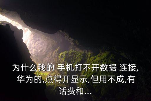 華為手機(jī)開不開數(shù)據(jù)連接怎么回事啊