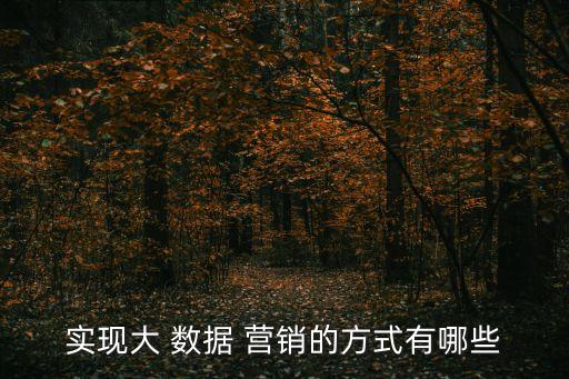 大數(shù)據(jù) 市場(chǎng)營(yíng)銷 ppt