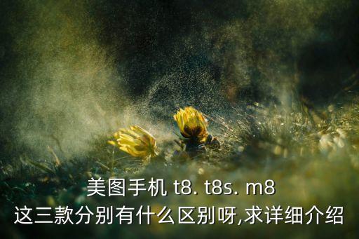  美圖手機(jī) t8. t8s. m8這三款分別有什么區(qū)別呀,求詳細(xì)介紹