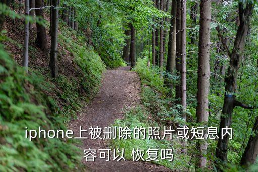 iphone上被刪除的照片或短息內(nèi)容可以 恢復(fù)嗎