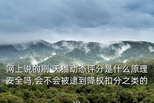 網(wǎng)上說(shuō)的刷 天貓動(dòng)態(tài)評(píng)分是什么原理安全嗎,會(huì)不會(huì)被逮到降權(quán)扣分之類的...