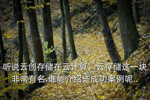 聽說云創(chuàng)存儲在云計算、云存儲這一塊非常有名,誰能介紹些成功案例呢...