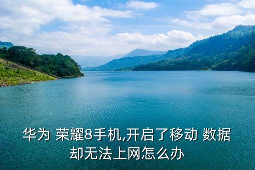 華為 榮耀8手機,開啟了移動 數據卻無法上網怎么辦