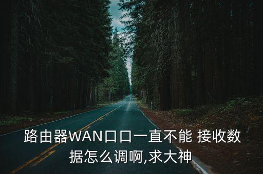  路由器WAN口口一直不能 接收數(shù)據(jù)怎么調(diào)啊,求大神
