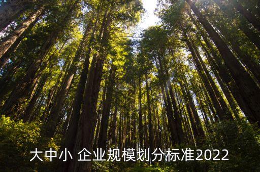 大中小 企業(yè)規(guī)模劃分標準2022