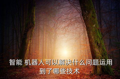  智能 機器人可以解決什么問題運用到了哪些技術(shù)