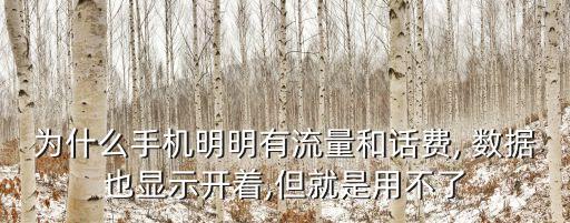為什么手機明明有流量和話費, 數(shù)據(jù)也顯示開著,但就是用不了